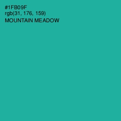 #1FB09F - Mountain Meadow Color Image